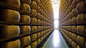 Von 25.000 Käselaiben begraben