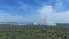 Rauch des Waldbrands bis nach Berlin zu riechen