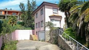 Sie waren verdreckt und verwahrlost