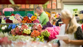 Flowerpower vor Sonnenaufgang