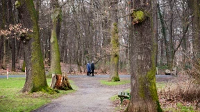Mehr Platz für die Tierwelt