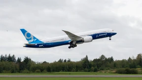 „Dreamliner“ landet mit Loch im Rumpf