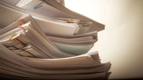 7,5 Minuten Beratungsgespräch für einen Ameisenköder