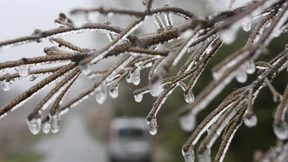 Das Wetter kühlt nachts bis zu frostigen Temperaturen ab