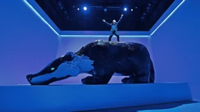 Hauptsache, der Dachs fällt nicht