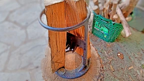 Gespaltenes Ergebnis