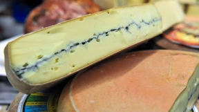 Ordnung für die Käsewelt