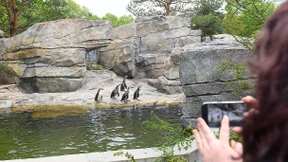 Jeder Besucher kostet die Stadt 14,29 Euro