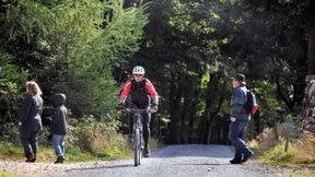 Das Gefühl für den Wald