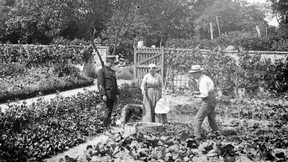 Lebensmittel von der Entente