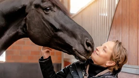 Was für ein Mensch ist mein Pferd?