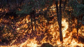 60.000 Menschen fliehen vor Feuer in Israel