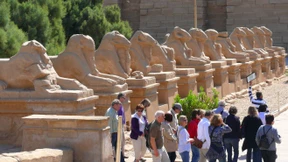 Sechshundertfünfzig Sphinxstatuen und keine Schlange