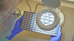 Warum neue Covid-Medikamente nicht die Freiheit bringen