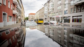 Verkehrskontrolle eskaliert – Polizist schießt auf flüchtigen Autofahrer