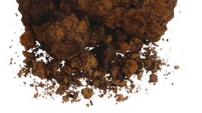 Über Leben im Dreck 