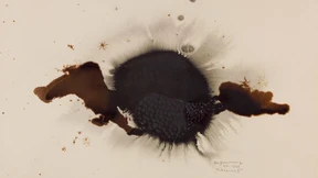 Mit Tier und Tinte auf du und du