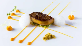 Waldpilze helfen gegen Waldeinsamkeit