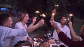 Die Soziologie des politischen Faultiers