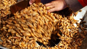 China-Aktien haben jetzt mehr Chancen