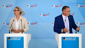 Die AfD ist das doppelte Lottchen