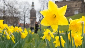 Das Oster-Wetter wird durchwachsen