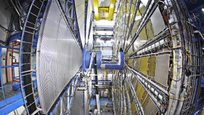 Vielleicht ist die Natur viel komplexer