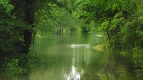 Als Gaffer in besseren Flutkreisen