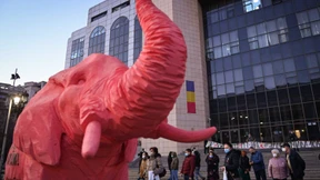 Luxemburger Richter heben „absoluten Vorrang“ von Europarecht hervor