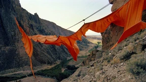 „Stellen Sie sich vor, Trump würde auftauchen!“