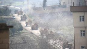 Der vergiftete Olivenzweig