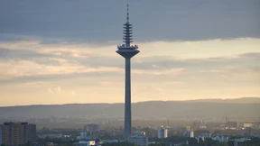 Höhenflüge auf dem Spargel