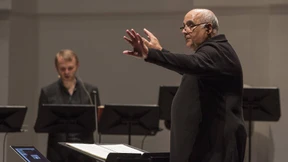 Wale im Fluss der Zeit 