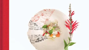 Im Frühling gibt’s Artischocken