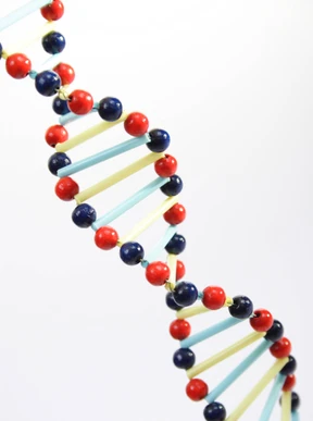 Sie haben ein erhöhtes Risiko für Prostata-Krebs