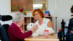 Eine Robbe zum Erinnern