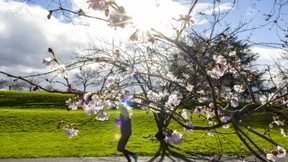 Februar war der wärmste seit Aufzeichnungsbeginn