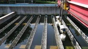 Umweltschützer sehen Trinkwasser im Ried gefährdet