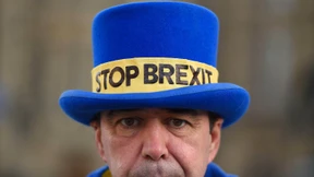 Großbritanniens berühmtester Brexit-Demonstrant