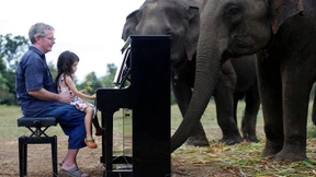 Ein Konzert nur für Elefanten