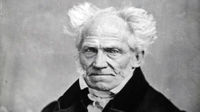 Der romantische Schopenhauer