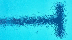 Schwimmverband bittet um Entschuldigung