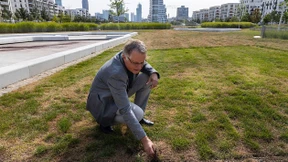 Kümmerliches Wachstum auf dem Tunneldach