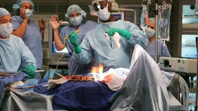 Was ist ein Dr. biol. hum. denn wert?