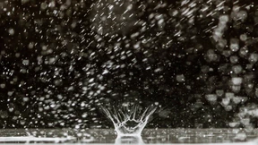 Voller Zoo, leere Schwimmbäder 