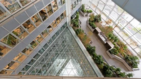 Die Krise der Städte als Chance