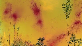 Das Strenge und das Spielerische