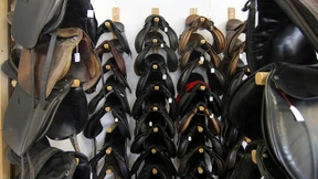 Und plötzlich öffnet der Reitsport-Laden wieder die Türen