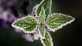 Schauer, Gewitter und Bodenfrost statt Sonne