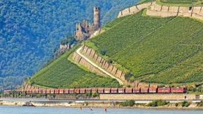 Legt die EU ganze Weinberge still?